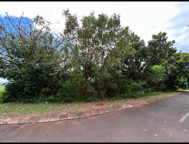 LAND FOR SALE IN ZINI RIVER ESTATE